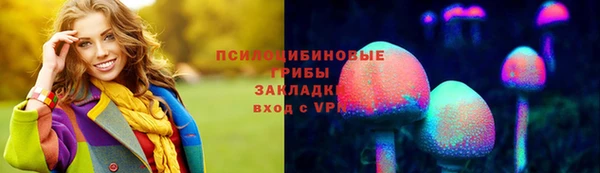 молекула духа Бугульма