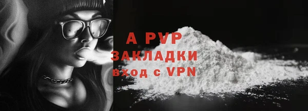 прущая мука Бородино