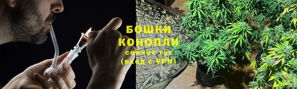индика Богородск