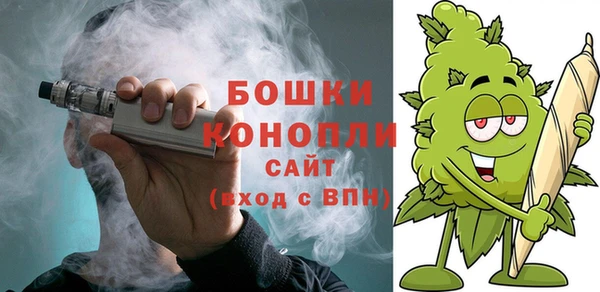 амф Богородицк
