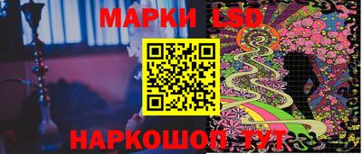 стаф Новокубанск