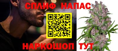 стаф Новокубанск