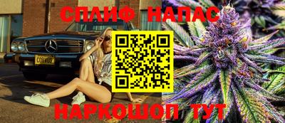 spice Новодвинск