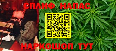 spice Новодвинск