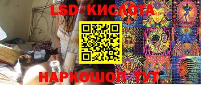 spice Новодвинск