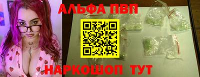 стаф Новокубанск