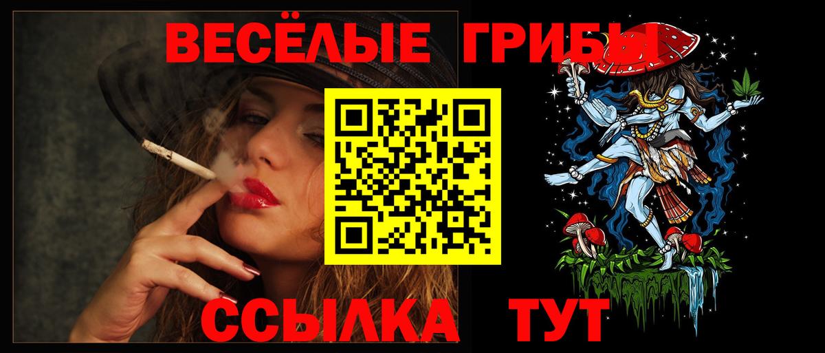 Галлюциногенные грибы Psilocybine cubensis  Вход с VPN  Наро-Фоминск 